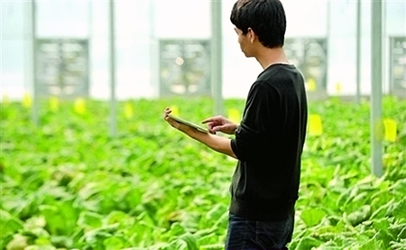 農(nóng)業(yè)物聯(lián)網(wǎng)的優(yōu)勢(shì)