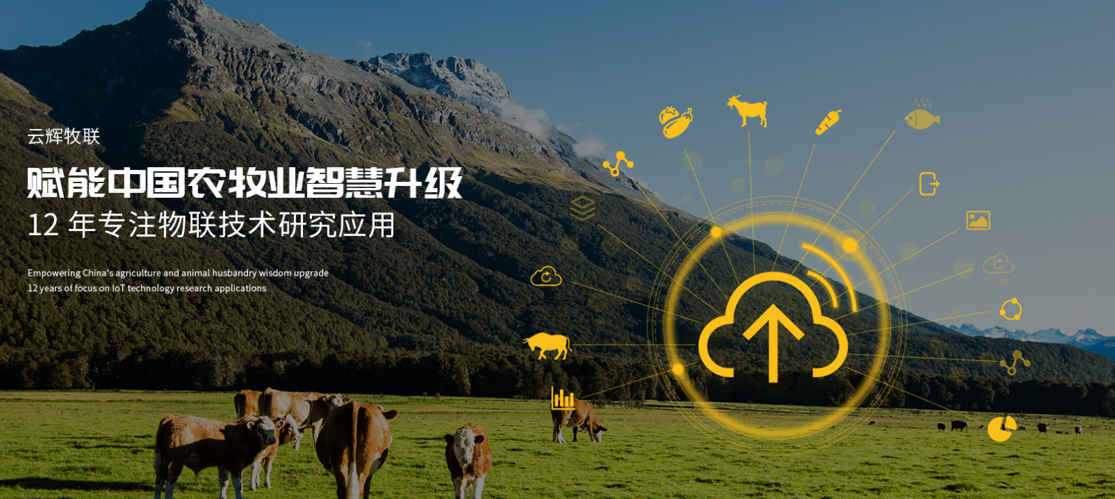 物聯(lián)網(wǎng)走進(jìn)牧場(chǎng) 高科技正改變農(nóng)村生活