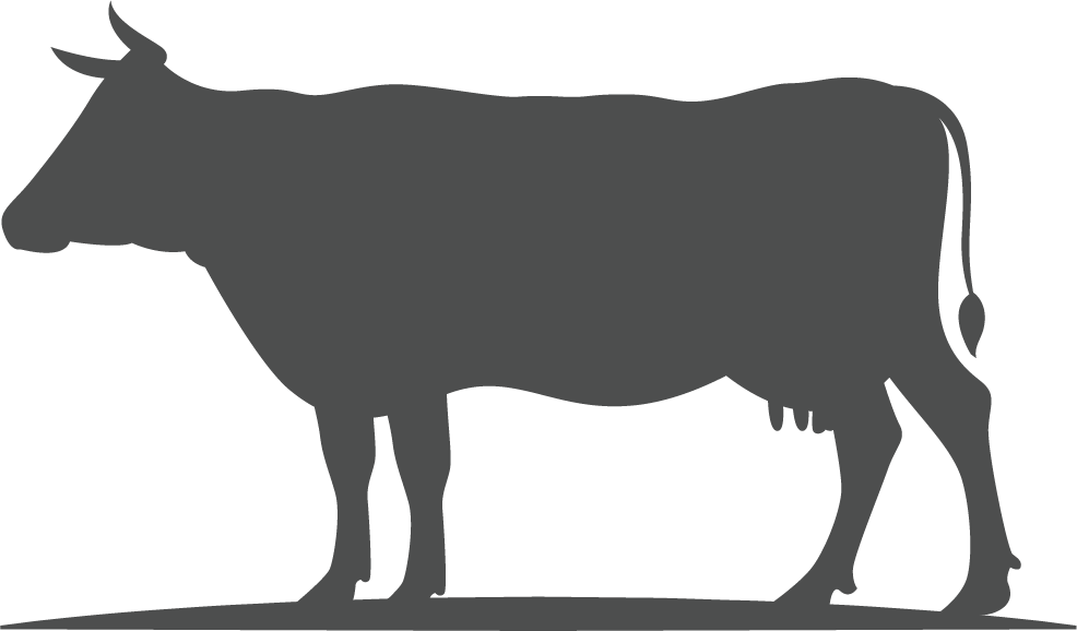 肉牛產(chǎn)業(yè)下一個(gè)風(fēng)口？2018年我國(guó)肉牛產(chǎn)業(yè)發(fā)展回顧與2019年展望