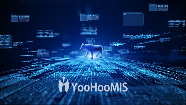 【解決方案】——為生產(chǎn)賦能，云輝牧聯(lián)YooHooMIS智能磅房管理系統(tǒng)推進(jìn)智慧農(nóng)業(yè)發(fā)展