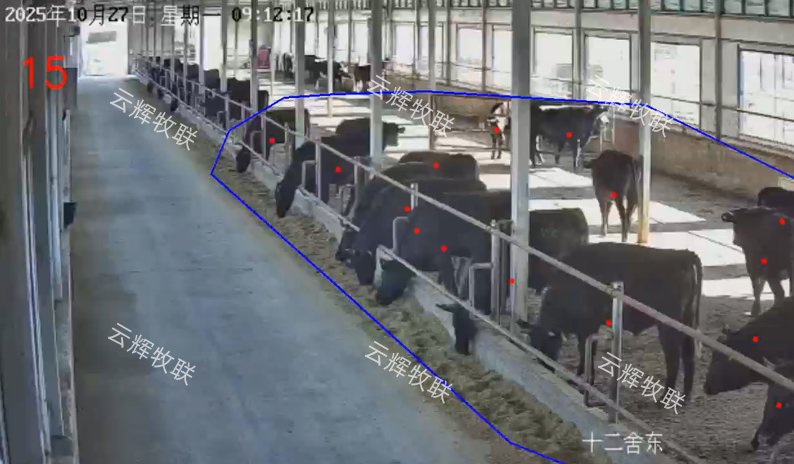 活體監(jiān)管技術(shù)新突破：AI 點(diǎn)數(shù)系統(tǒng)讓活體牛只融資不再難